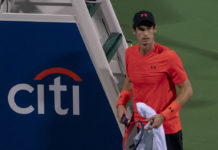 Would a singles return put undue pressure on Andy Murray?
