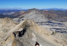 UFC on ESPN 10 review